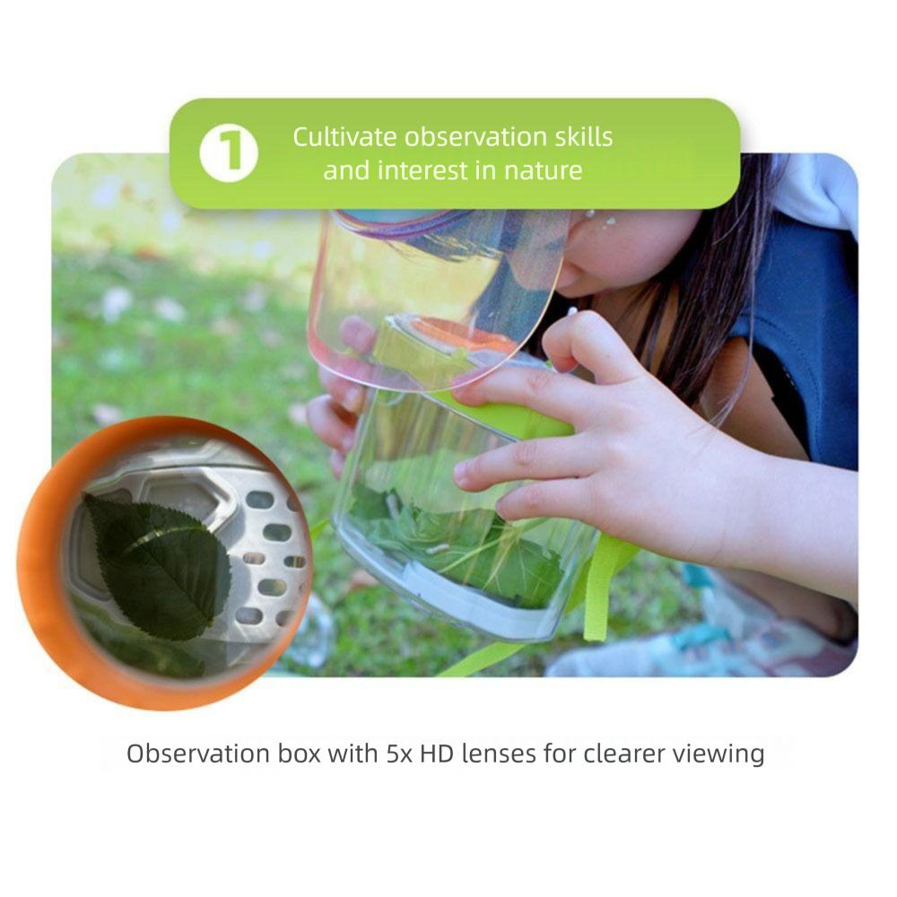 Breathable Insect Observation Box Kit Adjustable Straps Insect Feeding Bin  Snails