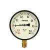 Migishita Seiki Manufacturing General-Purpose Pressure Gauge A100EG3/8 S-41E+0.6~-0.1MPa