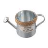 Fitment Iron Vintage Design Watering Can Flower Pots