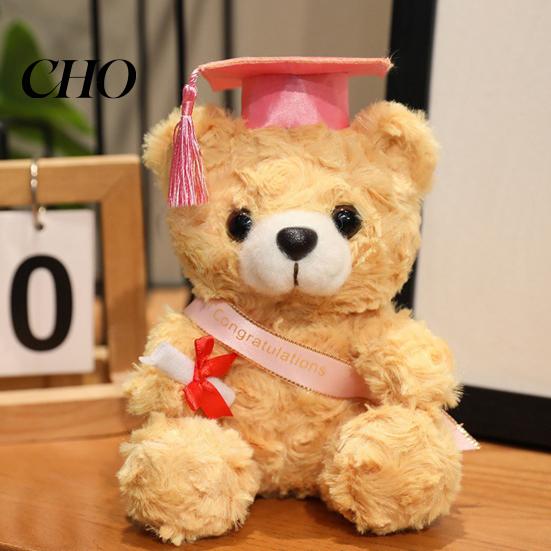 Graduation Keepsake Teddy Personalized Gifts 2026 for Her, 7-Inch Bear, Soft Class of Bear Plush Mascot College High School, Grade Commemorative