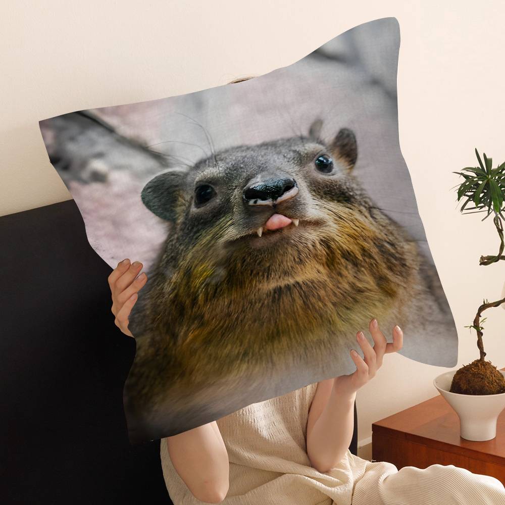 Rock Hyrax Animal Cushion Cover Pillow Cover Decor Pillowcase Printed Cushion Case for Couch