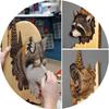 1Pc Animal Carving Handcraft Wall Hanging Sculpture Wood Raccoon Bear Deer Hand Painted Decoration for Home Living Room