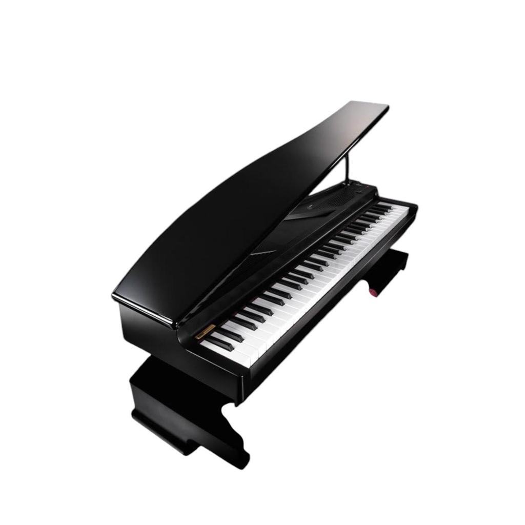 Korg microPiano 61 - Key Minature Grand Piano, Black