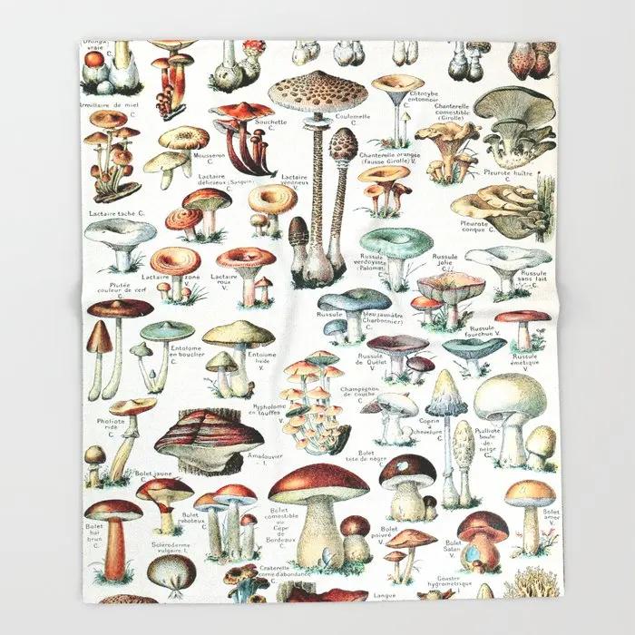 Адольф Мийо Цветы для всех Французский винтажный постер Плед Теплое одеяло из микрофибры Фланелевое одеяло