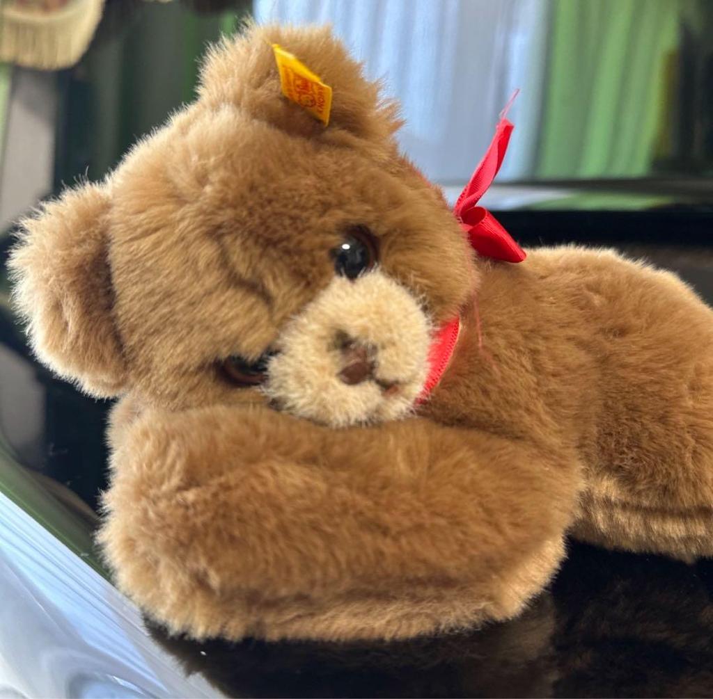 [USED] Summer holiday limited price! Excellent condition! Steiff teddy bear