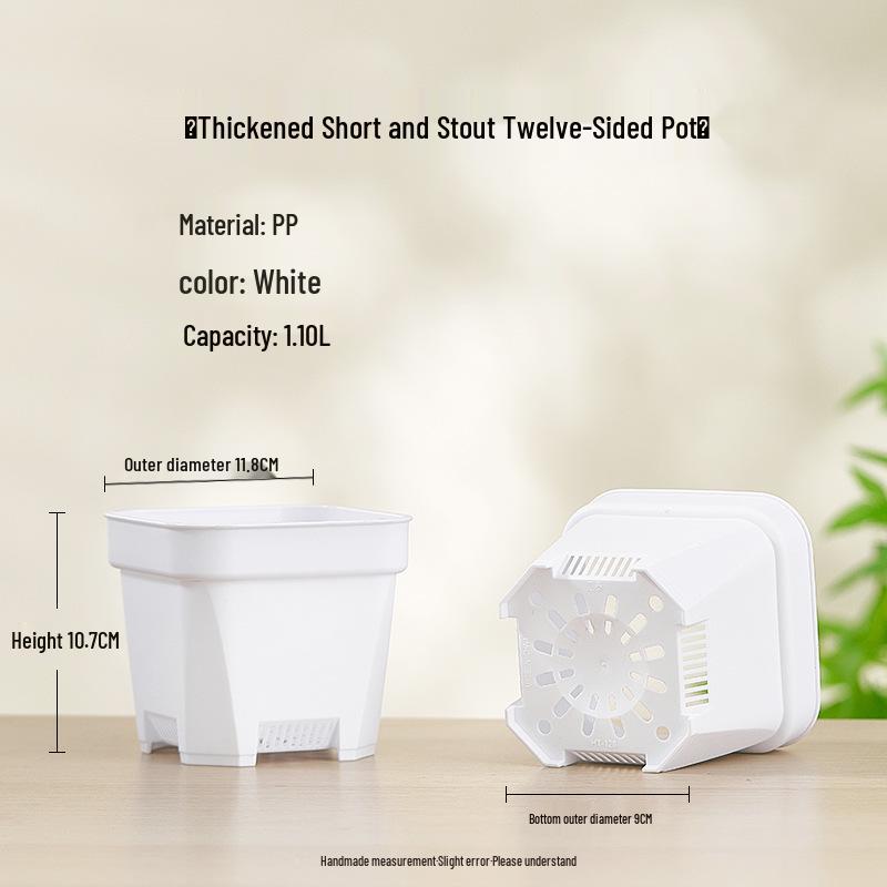 Popular Octagonal Breathable Small White Square Succulent Pot - Plastic Black Square Seedling and Leaf Pot