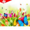 5D DIY Diamond Painting Full Round Flower And Butterfly Rhinestone Picture Embroidery Sale Diamond