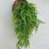 Artificial Green Plant Persian Leaf Wall Hanging False Flower Rattan Wall Decoration Hanging Water Grass Vine Fern Decoration
