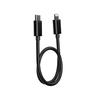 FIIO LT-LT3 FIO-LT-LT3 [Ships from an Authorized Japanese Retailer] USB Type-C OTG Cable with Lightning Audio