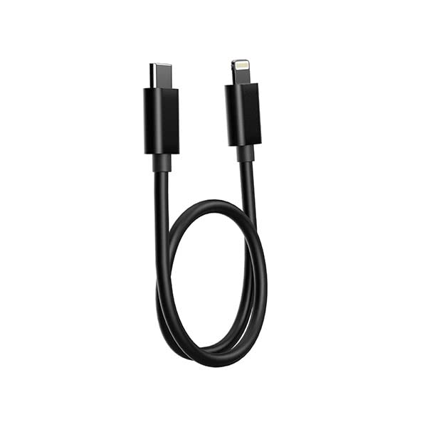 FIIO LT-LT3 FIO-LT-LT3 [Ships from an Authorized Japanese Retailer] USB Type-C OTG Cable with Lightning Audio
