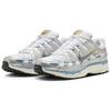 Nike P 6000 Металлический Серебристый Эгейская Буря HJ7246-100