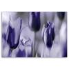 Печать на холсте, Фиолетовые тюльпаны на лугу