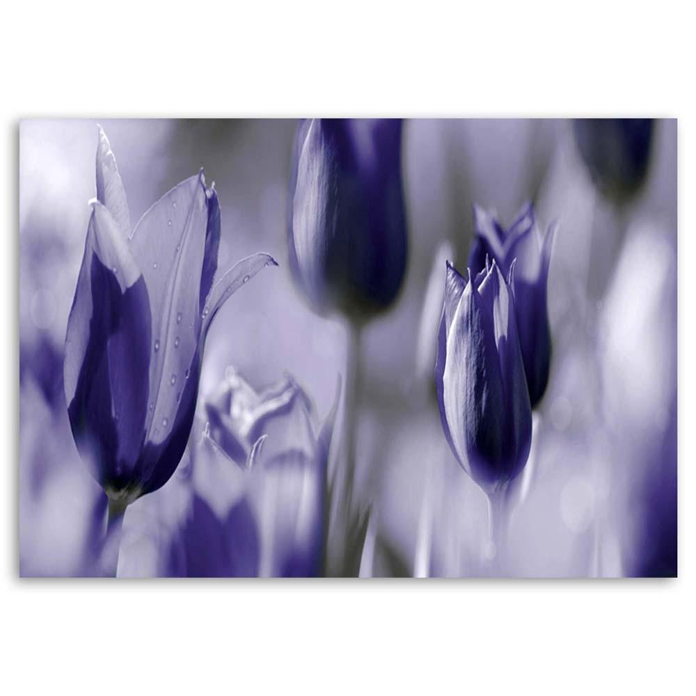 Печать на холсте, Фиолетовые тюльпаны на лугу