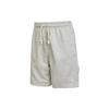 Повседневные шорты Dri Fit мужские серые DQ5713-063