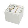 Skagen SIGNATUR LILLE SKW3153SET Women's Silver Watch