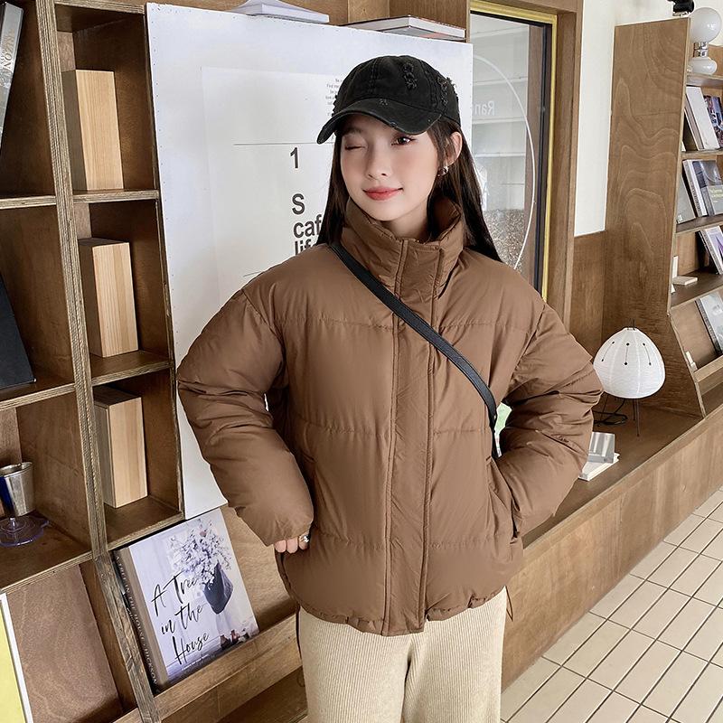 Short Collar Down Coat Jacket Coat Women 2023 Thick Warm Autumn and Winter