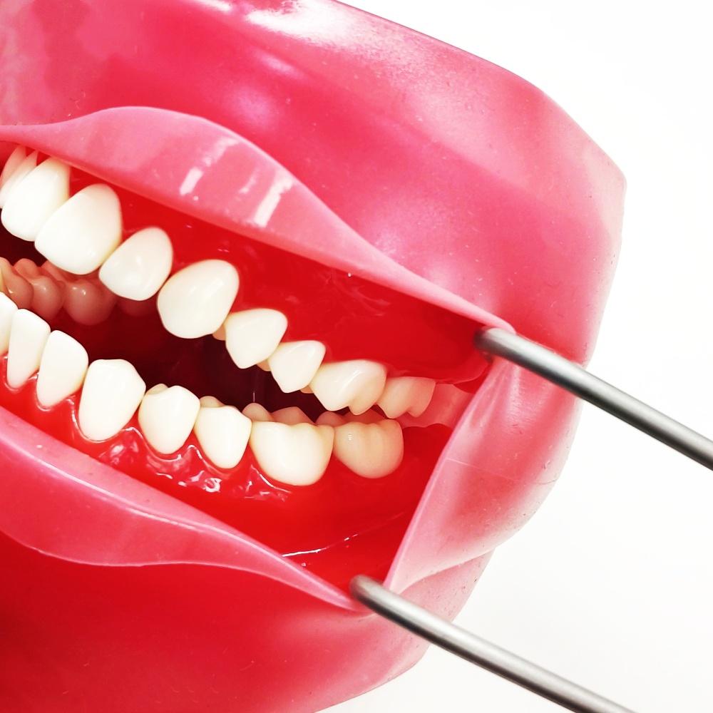 1pc or 2pcs or 3pcs Dental Implant Lip and Cheek Retractor Sternberg Retractor Restorative Curved