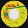 7inch Record NINJAMAN - Last Of The Warning NONE Digital-B 1991 Jamaica Reggae, Ska & Dub Used