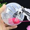 Small Pet Transparent Jogging Gerbil Hamster Sport Ball Rat Toy Grounder Exercise Balls