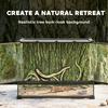 Reptile Glass Terrarium With Stone Background Front Ventilation Escape Proof Knob Lock 50 X 30 X 35 Cm Black