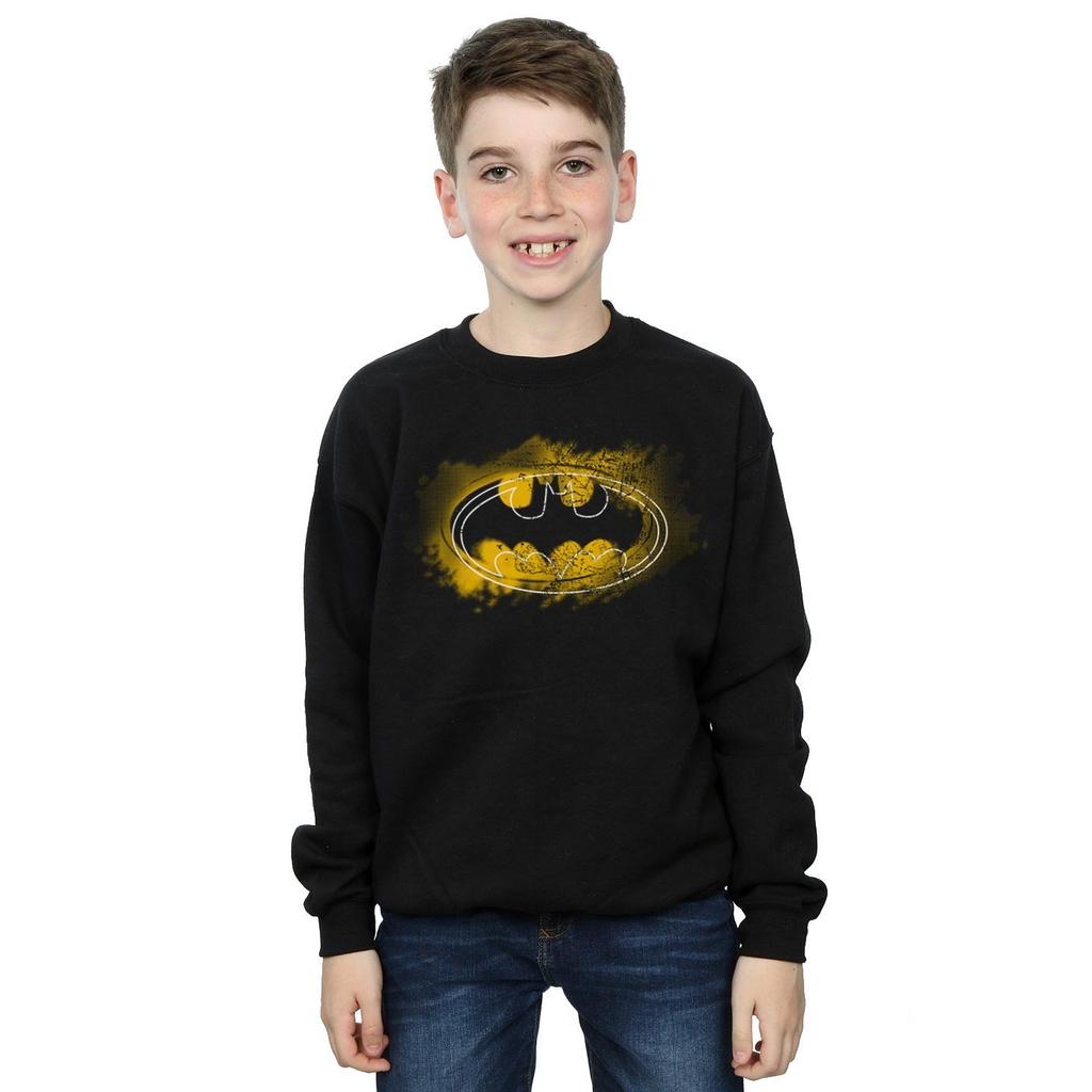 DC Comics Boys Batman Spray Logo Sweatshirt