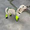 Nightsafe Pets Пылезащитная обувь Светоотражающая защита лап собаки Штаны для собаки Чехол для лап Собачьи путешествия