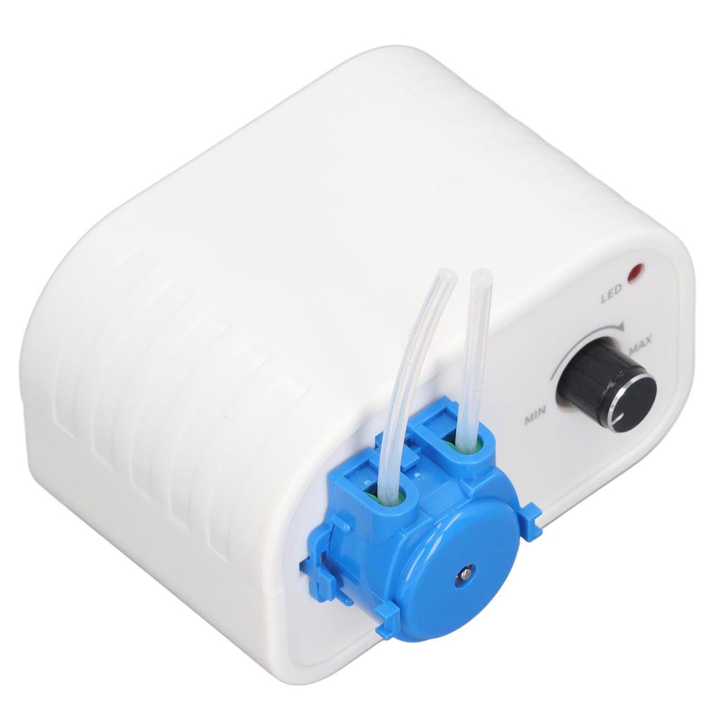 Перистальтический насос циркуляционный водяной насос постоянного тока 12 В щеточный двигатель для розлива жидкости 100?Вилка 240 В, США