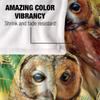 JQ Licensing Silky Owl Supersoft Blanket