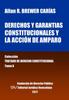Книга Derechos Y Garantias Constitucionales Y La Accion De Amparo. Tomo X. Coleccion Tratado De Derecho Constitucional