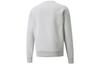 Puma Толстовка мужская светло-серая 534404-09