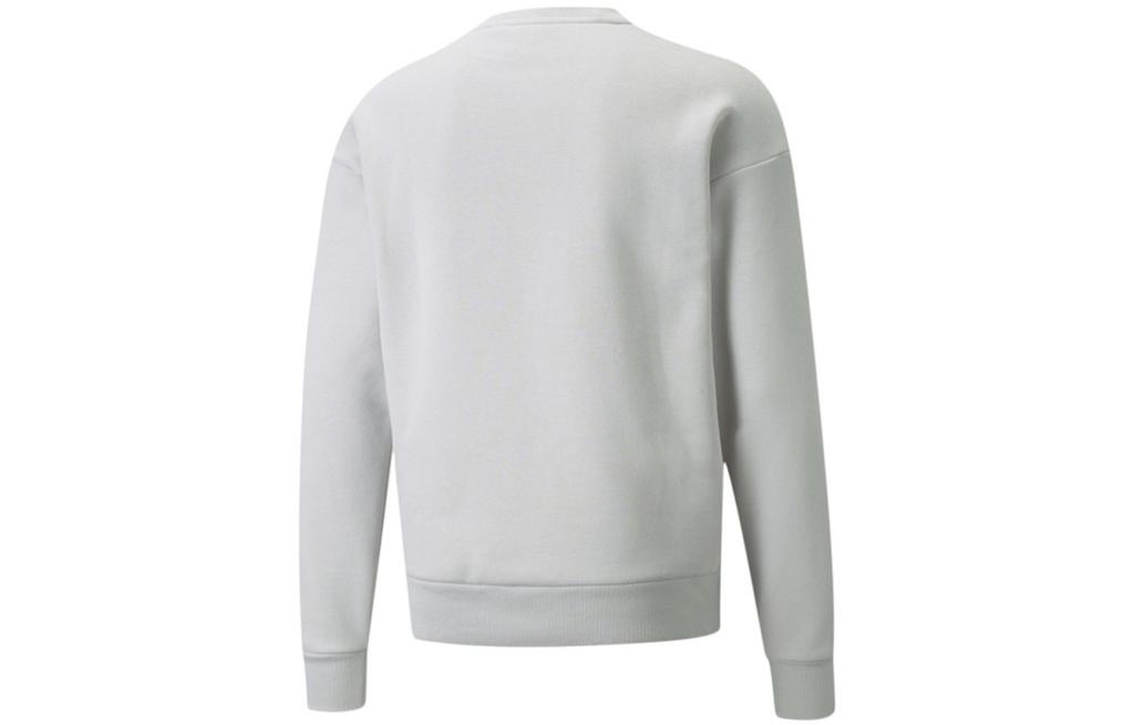Puma Толстовка мужская светло-серая 534404-09
