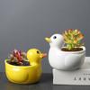 Cute Duck Flower Pot Succulent Pot Ceramics Planter Home Decor Desktop Ornaments Bonsai Plant Pot Garden Decoration