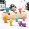 Wooden Rainbow Blocks Mushroom Picking Game Montessori Educational Wooden Baby Toys Developmental Shape Matching Assembly Grasp
