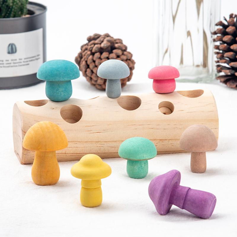 Wooden Rainbow Blocks Mushroom Picking Game Montessori Educational Wooden Baby Toys Developmental Shape Matching Assembly Grasp
