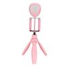 Mobile Phone Foldable Live Streaming Beauty Fill Light Lamp with Tripod and Phone Holder