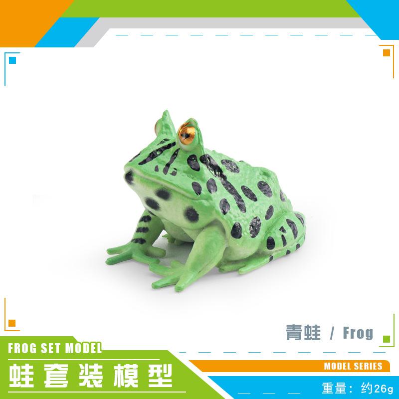 Simulation Amphibian Frog Triangular Dead Leaf Frog Red-Eyed Tree Frog Darwin Frog Static Model Ornament