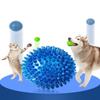 Игрушки для собак, кошек, щенков, звучащая игрушка, скрипучий шарик для чистки зубов, шарик для чистки зубов, TPR, тренировочная жевательная игрушка для зубов домашних животных, шары с шипами, аксессуары