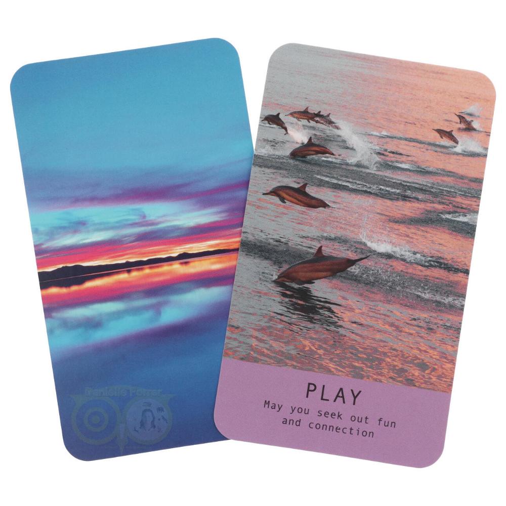 10.3*6cm Sea Soul Journeys Oracle Cards: Connect with The Healing Power of The Ocean 48 Pcs Cards