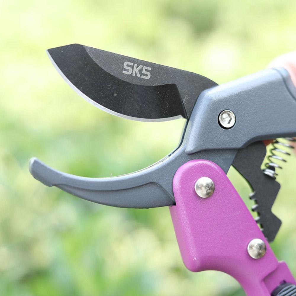 Ручные ножницы для сбора фруктов SK5, стальной секатор, инструмент для обрезки, ножницы для обрезки веток, сад