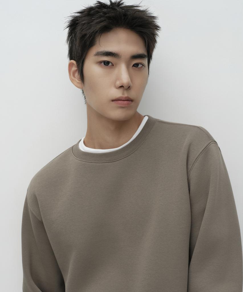 MUSINSA STANDARD Brushed Sweatshirt [Taupe]