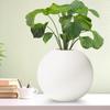 Новейшая керамическая 'Белая круглая ваза' 4 дюйма - Набор из 1 | Декоративная круглая ваза для сухоцветов и пампасной травы | Вазы для домашнего декора,
