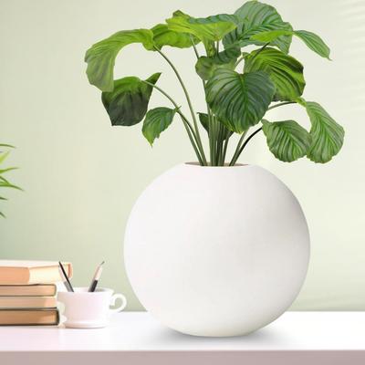 Новейшая керамическая 'Белая круглая ваза' 4 дюйма - Набор из 1 | Декоративная круглая ваза для сухоцветов и пампасной травы | Вазы для домашнего декора,