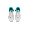 Nike Air VaporMax Unisex Vast Grey Dusty Cactus 917963-011
