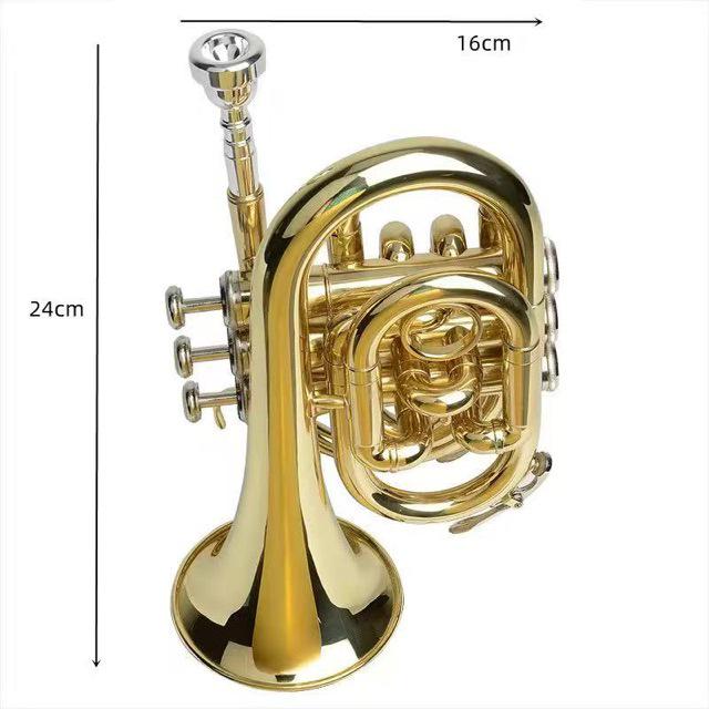 Compact B-flat Pocket Trumpet for Beginners - Mini Brass Instrument