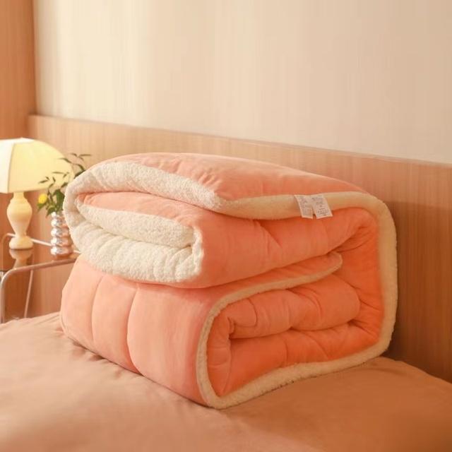 Twin Queen King Full Double Size Plush Velvet Quilted Winter Thick Warm Lamb Velvet Duvet Bedding In Filler