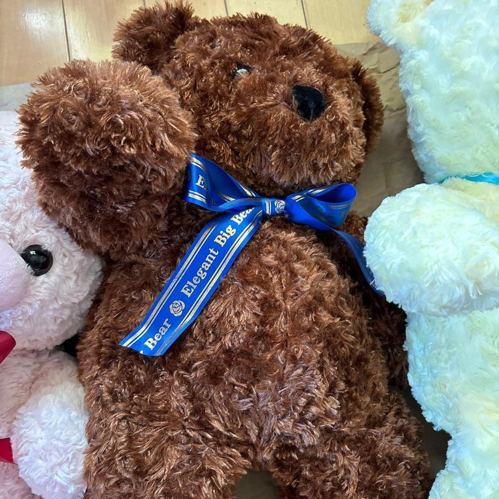 [Б/У] Плюшевый мишка, Прекрасный мишка, Мишка из роз, Плюшевый мишка