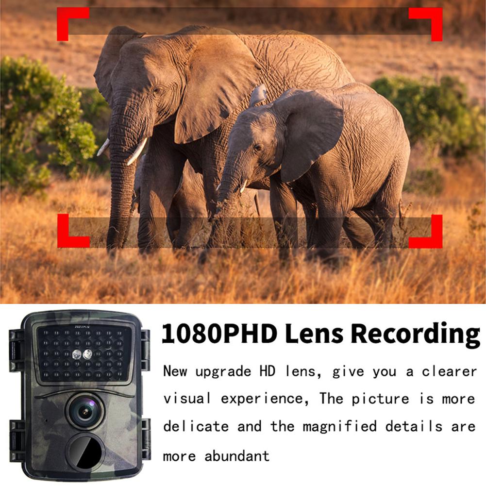 Уличная охотничья камера 1080p, водонепроницаемое охотничье оборудование, инфракрасное ночное видение, детектор наблюдения за следами диких животных, камера
