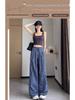 Women's Retro Plaid Double-Breasted Straight-Leg Wide-Leg Pants - Zhao Lusi Style, Spring & Autumn Collection in Blue.