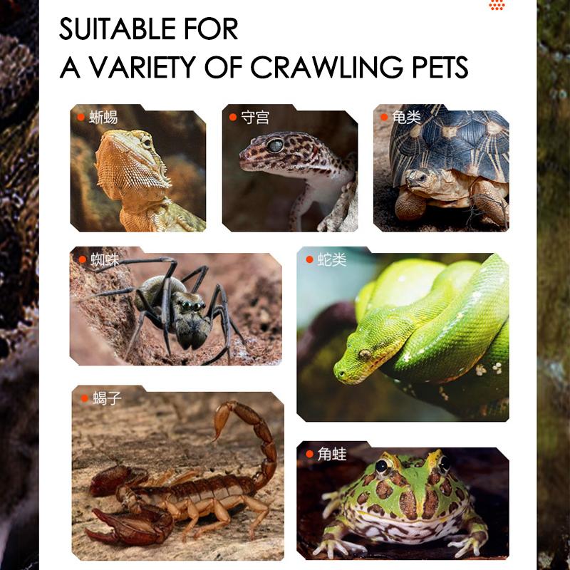 Большой террариум для рептилий и черепах, кормовой бокс, дождевой лес, УФА лампа, УФБ лампа, обогрев, интегрированный двойной плафон, освещение для амфибий