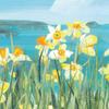 Claire Henley Coastal Spring Stretched Canvas
